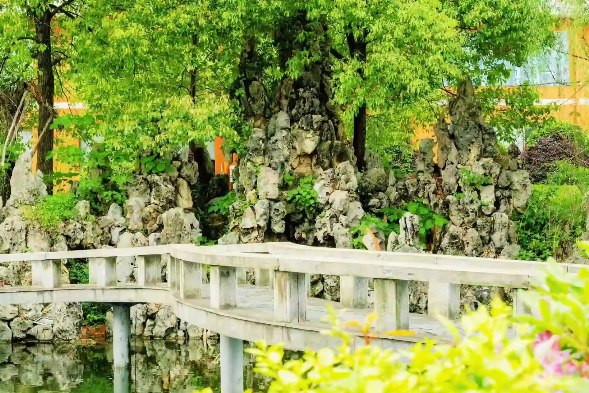 校园池塘