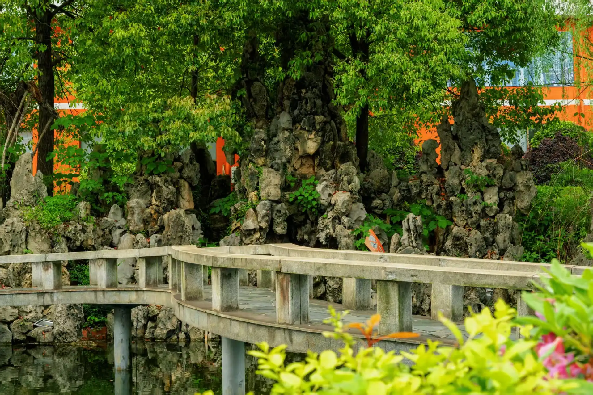 校园花园池塘